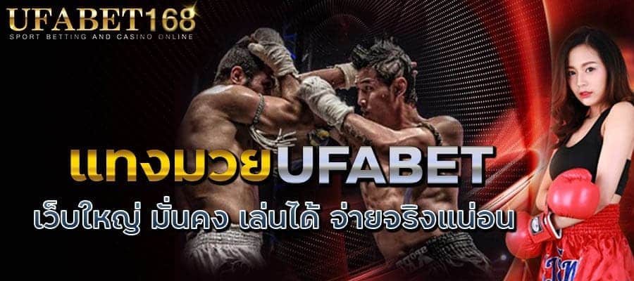 มวยพักยก